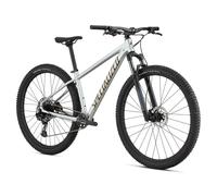 Specialized Rockhopper Expert Vn 29´´ 2025 Mtb Bike M Sildst / Bntgldmet