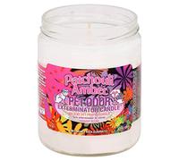 SPECIALTY PET PRODUCTS Amber Patchouli Pet Odor Exterminator 13 Ounce Jar Candle (Amber Patchouli, 1)