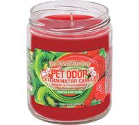 SPECIALTY PET PRODUCTS Kiwi Twisted Strawberry Pet Odor Exterminator 13 Ounce Jar Candle