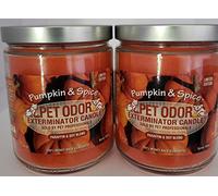 SPECIALTY PET PRODUCTS Pet Odor Exterminator Candle, Pumpkin Spice - Pack of 2
