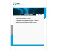 Specific Infrastructure Considerations for Nuclear Energy Applications Beyond Electricity