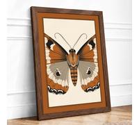 Specimen Butterfly Botanical Framed Wall Art Print A2 (59.4×42cm) Walnut, Wall Decor for Living Room, Bedroom, Office & Home, Ready to Hang, Art Gift