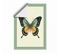Specimen Butterfly Botanical Unframed Wall Art Print A1 (84.1×59.4cm), Wall Decor for Living Room, Bedroom, Office & Home, Art Gift