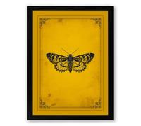 Specimen Butterfly Study Vintage Framed Wall Art Print A4 (29.7×21cm) Black, Wall Decor for Living Room, Bedroom, Office & Home, Ready to Hang, Art Gift
