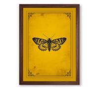 Specimen Butterfly Study Vintage Framed Wall Art Print A4 (29.7×21cm) Walnut, Wall Decor for Living Room, Bedroom, Office & Home, Ready to Hang, Art Gift
