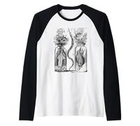 Specimen Jar Natural History 18th Century Illustration Raglan Baseball Tee