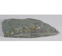 Specimen Natural Slate with Pyrites Crystals - Dorothea Quarry, Wales 9.0 cm #1