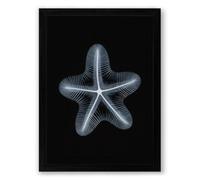 Specimen Starfish Minimalist Framed Wall Art Print A1 (84.1×59.4cm) Black, Wall Decor for Living Room, Bedroom, Office & Home, Ready to Hang, Art Gift