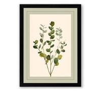 Specimen Study Botanical Framed Wall Art Print A1 (84.1×59.4cm) Black, Wall Decor for Living Room, Bedroom, Office & Home, Ready to Hang, Art Gift