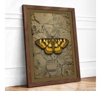Specimen Study Botanical Framed Wall Art Print A3 (42×29.7cm) Walnut, Wall Decor for Living Room, Bedroom, Office & Home, Ready to Hang, Art Gift