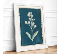 Specimen Study Botanical Framed Wall Art Print A3 (42×29.7cm) White, Wall Decor for Living Room, Bedroom, Office & Home, Ready to Hang, Art Gift