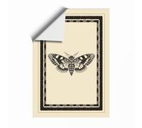 Specimen Study Japandi Unframed Wall Art Print A2 (59.4×42cm), Wall Decor for Living Room, Bedroom, Office & Home, Art Gift
