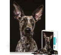 Speckled Pup Portrait 1000 Piece Jigsaw Puzzles for Adults Jigsaw Strong Logic Toy Group Play Clear Edge Perfect Present 38x52cm