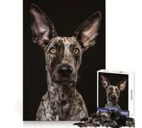 Speckled Pup Portrait 1000 Piece Jigsaw Puzzles for Adults Jigsaw Strong Logic Toy Group Play Clear Edge Perfect Present 38x52cm