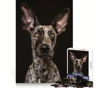 Speckled Pup Portrait Hard Jigsaw Puzzle for Adults 1000 Pieces Smart Toy Casual Fun Accurate Cut Artistic Gift 50x75cm