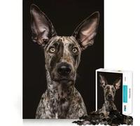 Speckled Pup Portrait Hard Jigsaw Puzzle for Adults 1000 Pieces Smart Toy Casual Fun Accurate Cut Artistic Gift 50x75cm