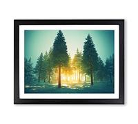 Spectacular Pine Tree Forest Framed Wall Art Print A2 Black