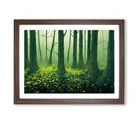 Spectacular Spring Forest Framed Wall Art Print A2 Walnut