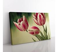 Spectacular Tulip Flowers Canvas Wall Art Print Ready to Hang, Framed Picture for Living Room Bedroom Home Office Décor, 50x35 cm (20x14 Inch)
