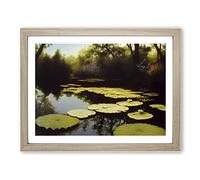 Spectacular Water Lily Pond Framed Wall Art Print A2 Oak
