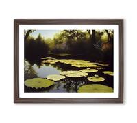 Spectacular Water Lily Pond Framed Wall Art Print A2 Walnut