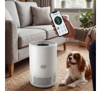 Spector Air Purifier And Filter H13 Hepa Smart App Control For Home