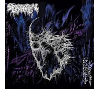 Spectral Voice - Eroded Corridors of Unbeing (Vinyl) [VINYL]