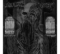 Spectral Voice/Undergang - Spectral Voice/Undergang Split