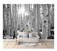 SPECUFX Photo Murals 3D Design Self-Adhesive Wallpaper Black and White Forest Birch 100x70cm Living Room The Wall for Bedroom Mural Border