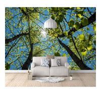 SPECUFX Self-Adhesive Wallpaper 3D Papers Forest Plants, Trees, Dawn Sunlight 100x70cm Home Decor Paper Mural Wallpapers for Living Room Bedroom Walls Wall Photo