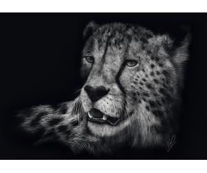 Speed - Gepard : In the Sign of Grace