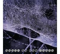 Speed of the Stars (Steve Kilbey and Frank Kearns) - Speed of the Stars [VINYL]