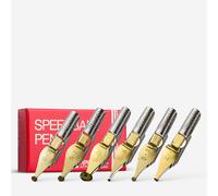 Speedball B Series Pen Nib Set, Set of 6 Broad Edge Nibs, Triple-Reservoir Design, Calligraphy Ink Pen, Handwriting, Lettering, Fountain, Crow, For Artist Caligraphy Set, Silver