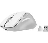Speedlink Libera Silent Bluetooth & Wireless USB Mouse - quiet click, rechargeable battery, thumb scroll wheel, 1 Bluetooth profile, 1x USB-A & 1x USB-C 2.4GHz profile, 3200 DPI, ergonomic, white