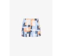 Speedo Mens Fall Graphic-print Relaxed-fit Recycled-polyester Swim Shorts L