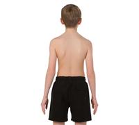 Speedo Star Wars 15´´ Swimming Shorts