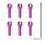 SPEEDWOX 6 Pcs Allen Hex Tapered Bolts Screws with Hex Wrench, Titanium M6x20mm with Washer, MTB Road Mountain Bike Bicycle Stem Bolt Screws Purple for MTB Bike Bicycle Stem