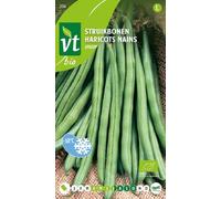 Speedy Beans - A Very Early Variety - 25 g - Seeds: 5