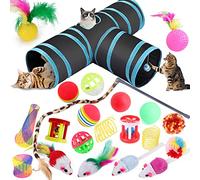 Speedy Panther 22 Pcs Cat Toys for Indoor Cats Adults Interactive Kitten Toys Cat Tunnel Mouse Feather Teaser Wand Spring Toy