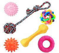 Speedy Panther 6Pcs Dog Chew Toys for Small Dogs, Puppy Teething Toy From 8 Weeks, Dog Ball Toys, Dog Toy Set for Small Medium Dogs