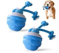 Speedy Tail 2.0, Power Tail 2.0 Dog Toy, Barkzys Power Tail Dog Toy, Interactive Pet Toys Ball with Motion Activated, USB Rechargeable (2Pcs)