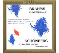 Speidel/Rissin/Ostertag - Brahms/Schöberg Trios