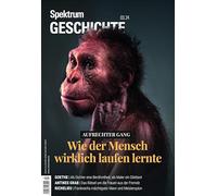 Spektrum Geschichte 3/2024 Aufrechter Gang: Wie der Mensch wirklich laufen lernte
