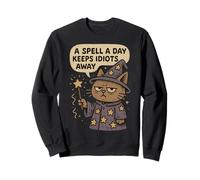 Spell A Day Idiots Away Sarcastic Wizard Cat Funny Graphic Sweatshirt