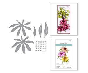 Spellbinders Echinacea (Coneflower) Etched Dies from the Summer Solstice Garden Collection by Susan Tierney-Cockburn