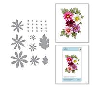 Spellbinders Etched Dies -Essential Circles