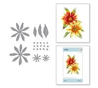Spellbinders Etched Dies Tierney-Cockburn-Gaillardia-Susan's Autumn Flora, Metal, 1