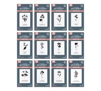 Spellbinders Florals Through The Year BetterPress Plates Bundle, Metal, ONE