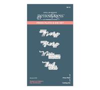 Spellbinders Mother's & Father's Day Sentiments Press Plate from The Mirrored Arch Collection, Metal, ONE