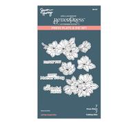 Spellbinders Plates and Dies, Metal, One